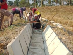 Polemik Pembangunan Irigasi P3A Di Desa Kali Rejo Di Duga Tidak Sesuai Spek dan Anggaran Siluman